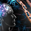 Multiple Sclerosis Nerve Disorder Brain Adobe Freshidea
