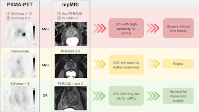 A visual abstract of the study.