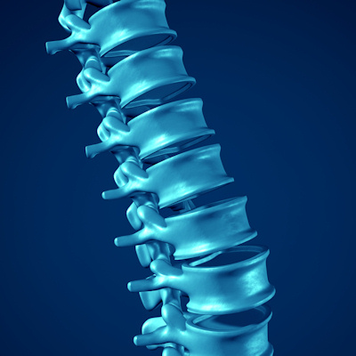 Spine 400