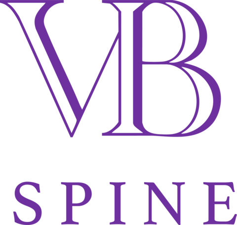 Vb Spine Logo Purple
