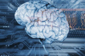 A Ibrain