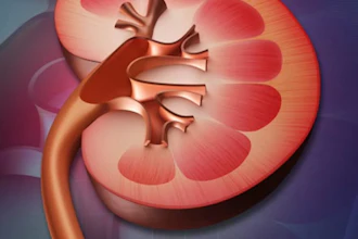 Kidney