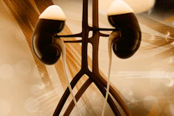 Kidneys 400