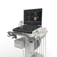 Logiq e X