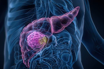 Pancreas Cancerous Area 3 D Rendering Adobe Anton