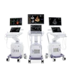 From left to right: Vivid Explorer, Vivid Advanced, and Vivid Focus