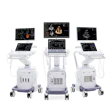 From left to right: Vivid Explorer, Vivid Advanced, and Vivid Focus