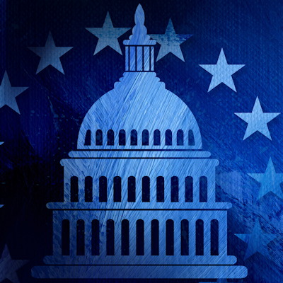 Capitol Hill Government 400