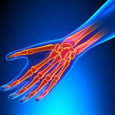 Hand Wrist 400