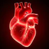 Heart Valves Artx Premium