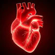 Heart Valves Artx Premium
