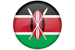 Kenya Flag 400