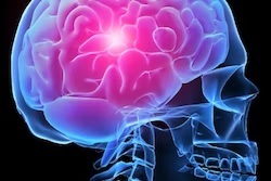 Glowing human brain illustration with blue and pink lighting on dark background