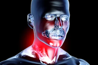 3D medical illustration of human head and neck showing inflammation in red, highlighting throat and jaw anatomy