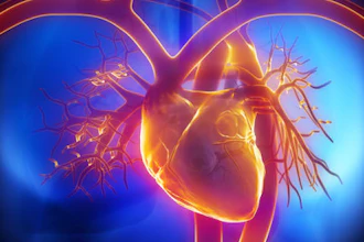 3D medical illustration of human heart with coronary arteries glowing in orange and red against blue background