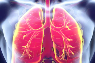 Anatomical illustration of human lungs with bronchial branches and pulmonary blood vessels highlighted in pink and yellow