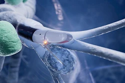 Microscopic view of cells being examined with a pipette needle under laboratory magnification