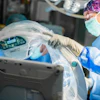 Surgeon in sterile protective gear inspecting a SMART C medical device during surgical procedure