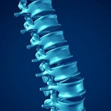 3D medical illustration of human spine with vertebrae stacked vertically against blue background