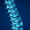 3D medical illustration of human spine with vertebrae stacked vertically against blue background