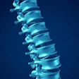 3D medical illustration of human spine with vertebrae stacked vertically against blue background