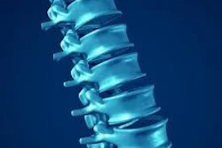 3D medical illustration of human spine with vertebrae stacked vertically against blue background